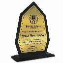 reconocimiento-negro-dorado-lateral.webp