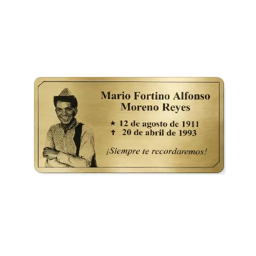 Placa Funeraria 20x10cm Con Foto